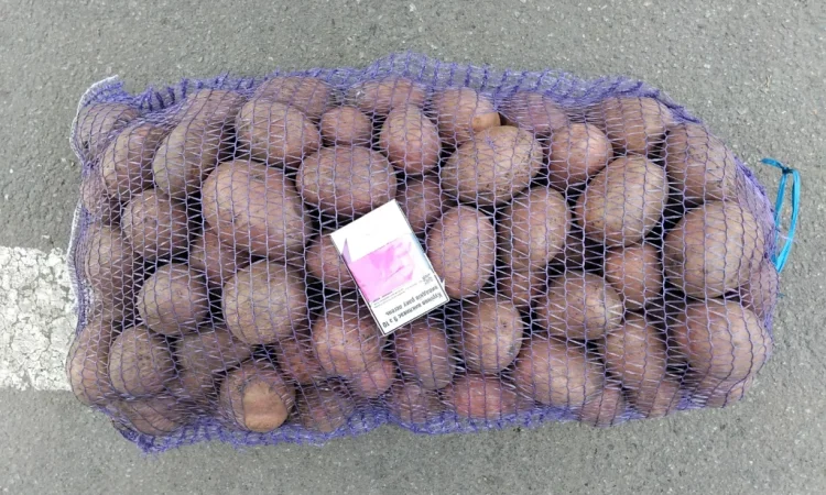 Куплю картошку разных сортов - фото № 1