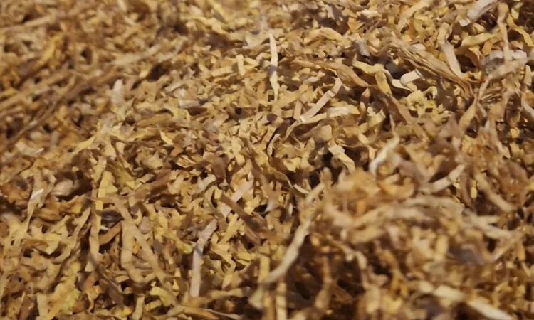 Продам гарний тютюн - фото № 4