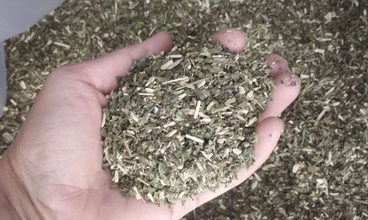 Продам гарний тютюн - фото № 6