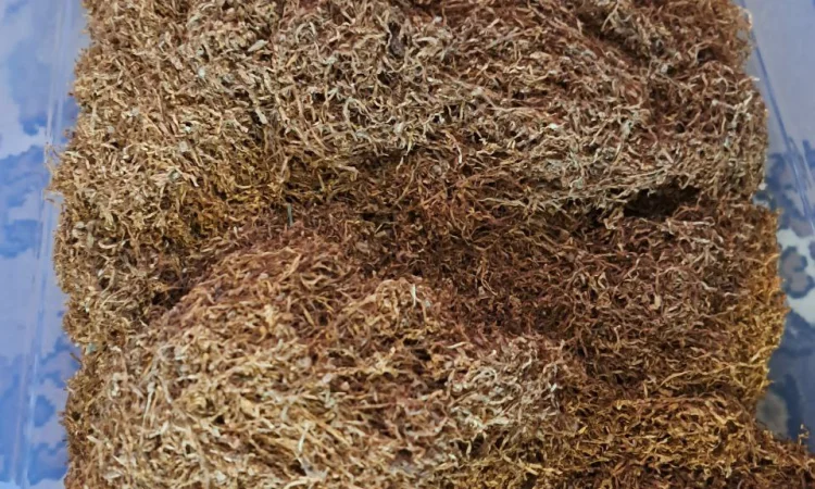 Продам гарний тютюн - фото № 3