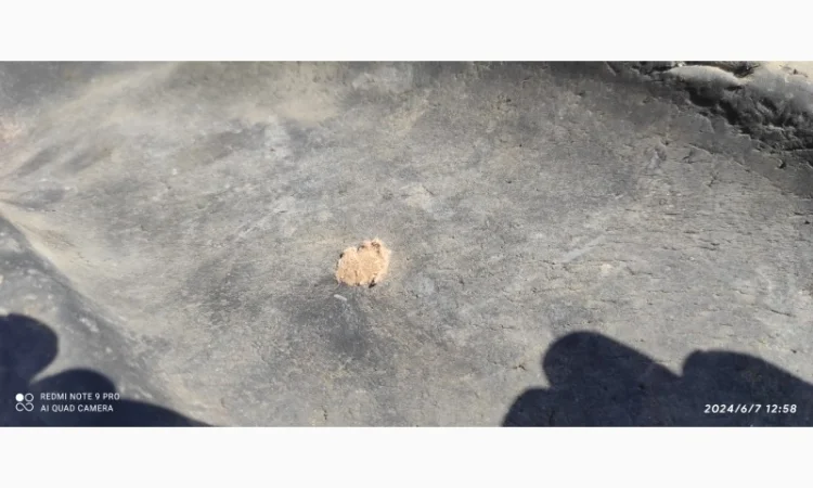 Продам шины размера 500/80 R 28 - фото № 5