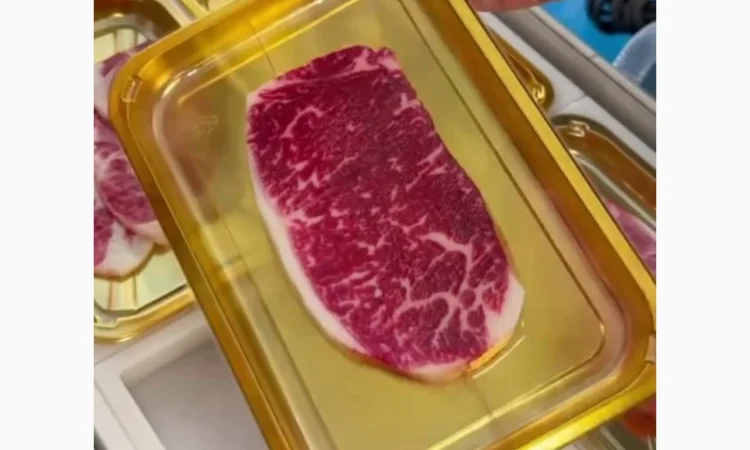 Зварювач лотків (вакуумний трейсилер) STvega Tray Sealer L331 - фото № 6