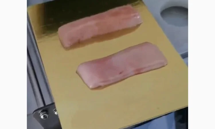 Зварювач лотків (вакуумний трейсилер) STvega Tray Sealer L331 - фото № 8