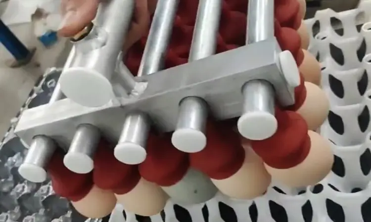 Вакуумний укладач яєць (на 30 шт) STvega Vacuum Egg Lifter H30 - фото № 3