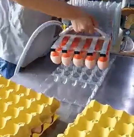 Вакуумний укладач яєць (на 30 шт) STvega Vacuum Egg Lifter H30 - фото № 4