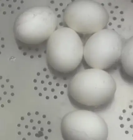 Яйцеварка електрична промислова на 180 л STvega Egg Boiler H180SA - фото № 9