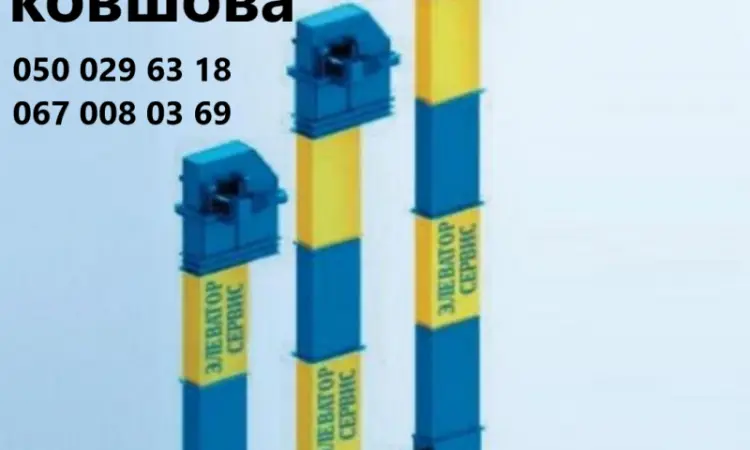 Норія ковшова стрічкова - фото № 1