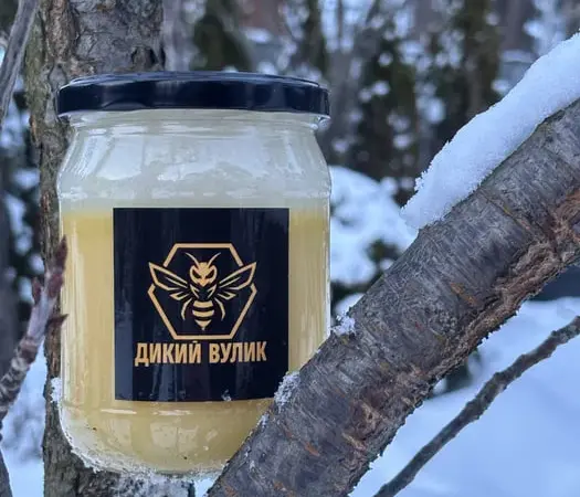 Мед подсолнечный домашний - фото № 1