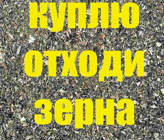 Куплю зерно некондицію отходи зерна соняшника соі - фото № 1