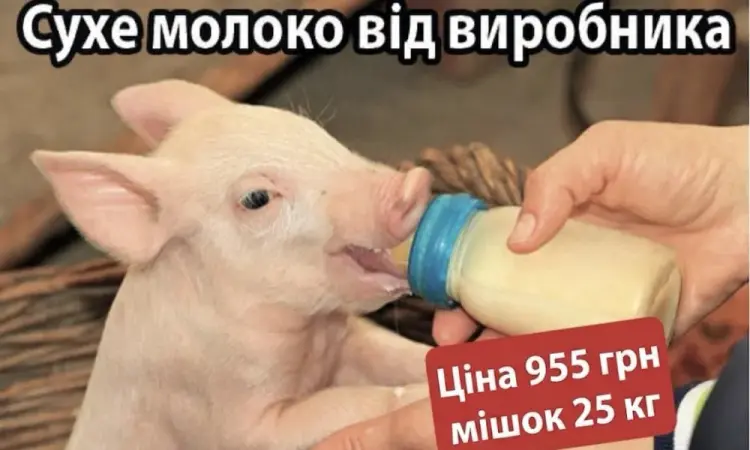 Корм сухе молоко для поросят телят БМВД - фото № 1
