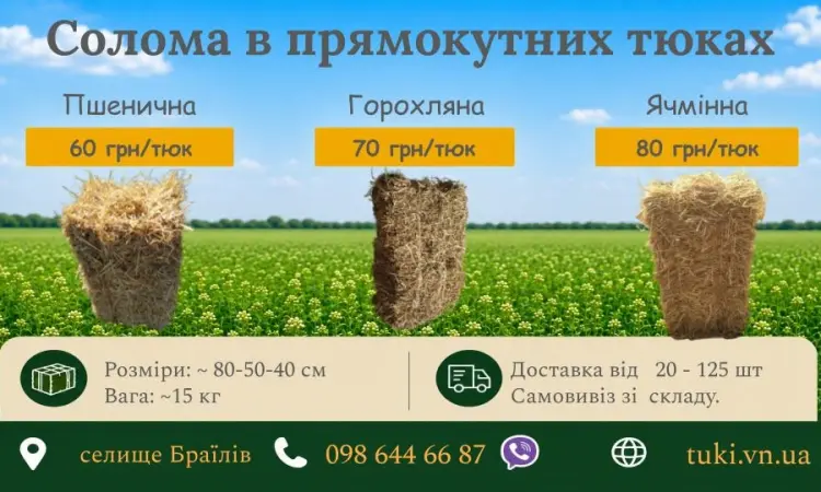 Солома пшенична, ячмінна, горохляна в тюках 2026 - фото № 1