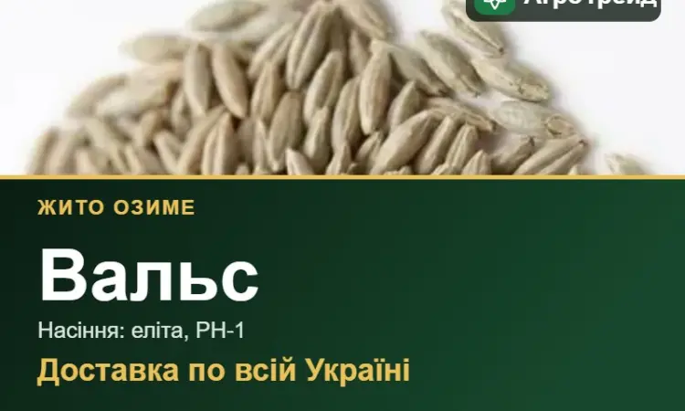 Насіння жита Вальс - фото № 1