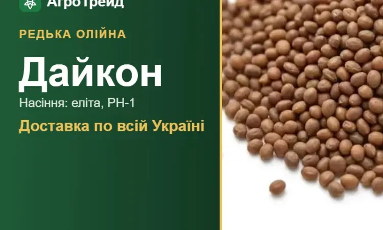 Редька олійна Дайкон - фото № 1