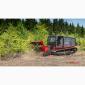 Самохідний мульчер Prinoth RAPTOR 300 - фото № 6