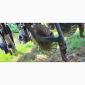 Сівалка точного висіву Great Plains YP-1625AHD з precision planting - фото № 10