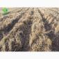 Очиститель рядка на сеялку John Deere 1745 - фото № 3