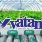 Якісна теплична плівка Vatan Plastik - фото № 1