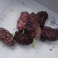 Саженцы шелковицы привитой выбор сортов - фото № 8