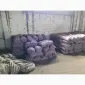 Продам картофель большой семенной.рівєра пікасо арізона балароса коломбо - фото № 9