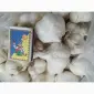 Продам чеснок озимый большой и на посадку 1 репродукции - фото № 1
