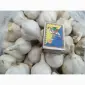 Продам чеснок озимый большой и на посадку 1 репродукции - фото № 2