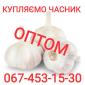 Куплю чеснок оптом дорого - фото № 1