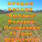 Опт 15 тонн ПРОДАМ Часник Любаша Товарний Молодий Сухий Чеснок Посадочный Garlic - фото № 1