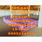 Опт 15 тонн ПРОДАМ Часник Любаша Товарний Молодий Сухий Чеснок Посадочный Garlic - фото № 2