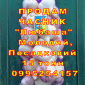 Опт 15 тонн ПРОДАМ Часник Любаша Товарний Молодий Сухий Чеснок Посадочный Garlic - фото № 4