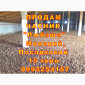Опт 15 тонн ПРОДАМ Часник Любаша Товарний Молодий Сухий Чеснок Посадочный Garlic - фото № 5