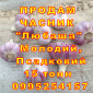 Опт 15 тонн ПРОДАМ Часник Любаша Товарний Молодий Сухий Чеснок Посадочный Garlic - фото № 8