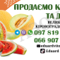 Продаємо кавуни та дині - фото № 1