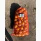 Продам лук репчатый - фото № 3