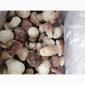 Продаю мороженые белые грибы - фото № 3