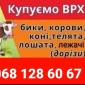 Врх - фото № 1
