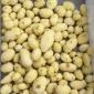 Машина для ножового очищення картоплі STvega KPel Potato H500 - фото № 10