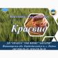 Насіння озимой пшеницы Краєвид (БН) в продаже - фото № 1