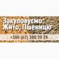 Купуємо пшеницю на постійній основі - фото № 1