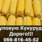 Купуємо кукурудзу з оплатою на вагах! Доступні сушка та зберігання - фото № 1