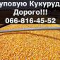 Закупка кукурузы в больших объемах с выгодными условиями - фото № 1
