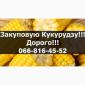 Куплю кукурудзу від виробника під контракти з оплатою на вагах - фото № 1