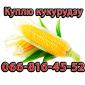 Куплю кукурузу урожай 2024 на постоянной основе - фото № 1