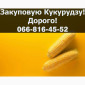 Покупка кукурузы на выгодных условиях - фото № 1