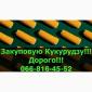 Закупаем кукурузу в любом объеме! Высокие цены и надежные контракты - фото № 1