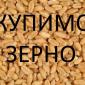 Компания на постоянной основе проводит закупку зерновых культур и другие - фото № 1