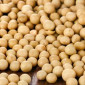 Покупаем сою на экспорт и внутренний рынок от производителя - фото № 1