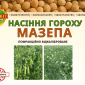 Горох посевной - фото № 1