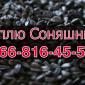 Закупівля соняшнику урожай 2024! Оплата на вагах - фото № 1