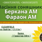 Насіння соняшника. Доступно для продажу - фото № 1