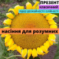 Семена подсолнечника гибрид Презент – высокоурожайный вариант - фото № 1